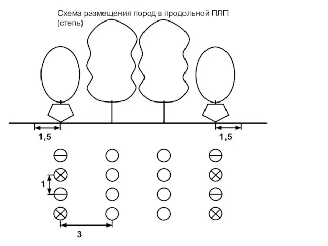 Схема размещения пород в продольной ПЛП (степь)