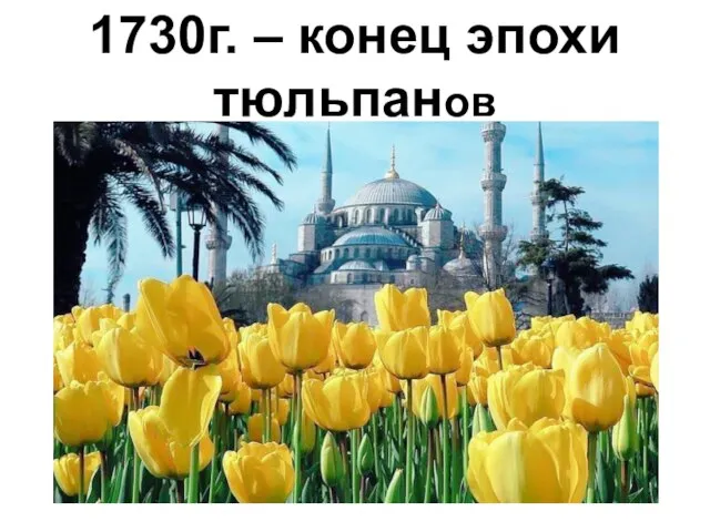 1730г. – конец эпохи тюльпанов