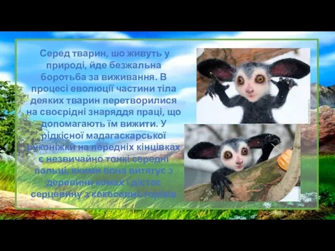 Серед тварин, шо живуть у природі, йде безжальна боротьба за виживання. В