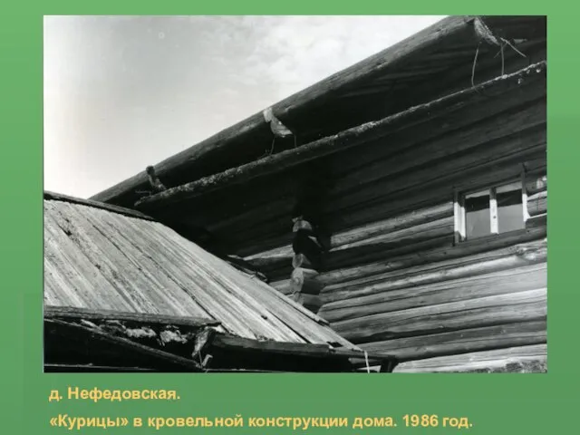 д. Нефедовская. «Курицы» в кровельной конструкции дома. 1986 год.