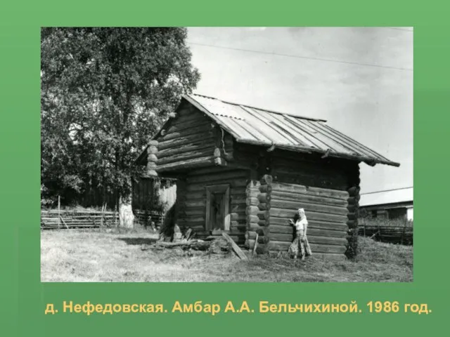 д. Нефедовская. Амбар А.А. Бельчихиной. 1986 год.