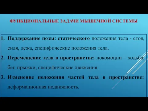 ФУНКЦИОНАЛЬНЫЕ ЗАДАЧИ МЫШЕЧНОЙ СИСТЕМЫ Поддержание позы: статического положения тела - стоя, сидя,