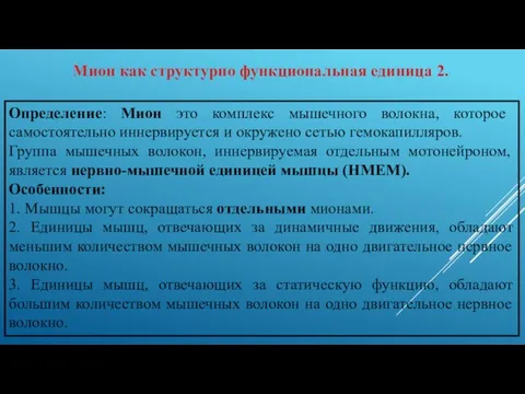 Мион как структурно функциональная единица 2. Определение: Мион это комплекс мышечного волокна,