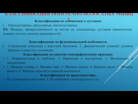 КЛАССИФИКАЦИЯ ПОПЕРЕЧНО-ПОЛОСАТЫХ МЫШЦ 2. Классификация по отношению к суставам. Односуставные, двусутавные, многосуставные.