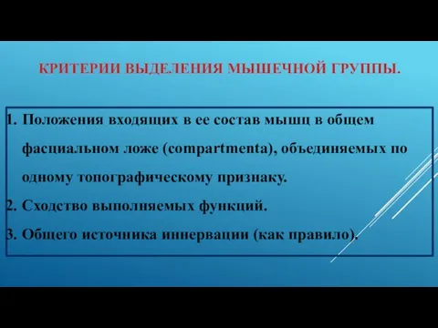 КРИТЕРИИ ВЫДЕЛЕНИЯ МЫШЕЧНОЙ ГРУППЫ. Положения входящих в ее состав мышц в общем