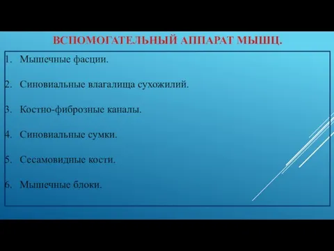 ВСПОМОГАТЕЛЬНЫЙ АППАРАТ МЫШЦ. Мышечные фасции. Синовиальные влагалища сухожилий. Костно-фиброзные каналы. Синовиальные сумки. Сесамовидные кости. Мышечные блоки.