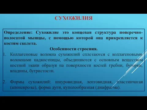 СУХОЖИЛИЯ Определение: Сухожилие это концевая структура поперечно-полосатой мышцы, с помощью которой она