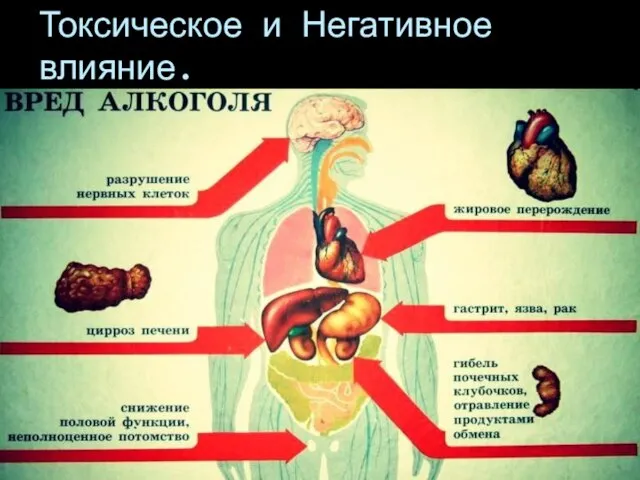 Токсическое и Негативное влияние.