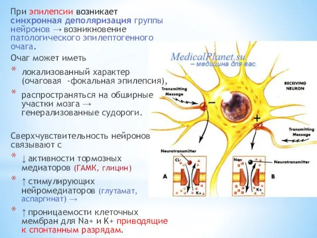 При эпилепсии возникает синхронная деполяризация группы нейронов → возникновение патологического эпилептогенного очага.