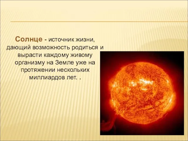 Солнце - источник жизни, дающий возможность родиться и вырасти каждому живому организму