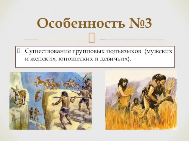 Существование групповых подъязыков (мужских и женских, юношеских и девичьих). Особенность №3