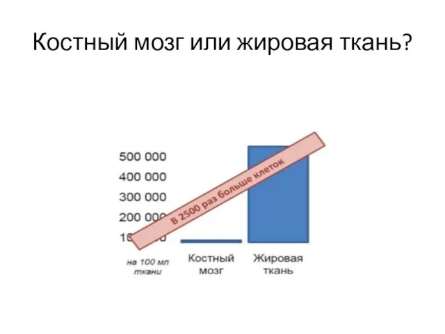 Костный мозг или жировая ткань?