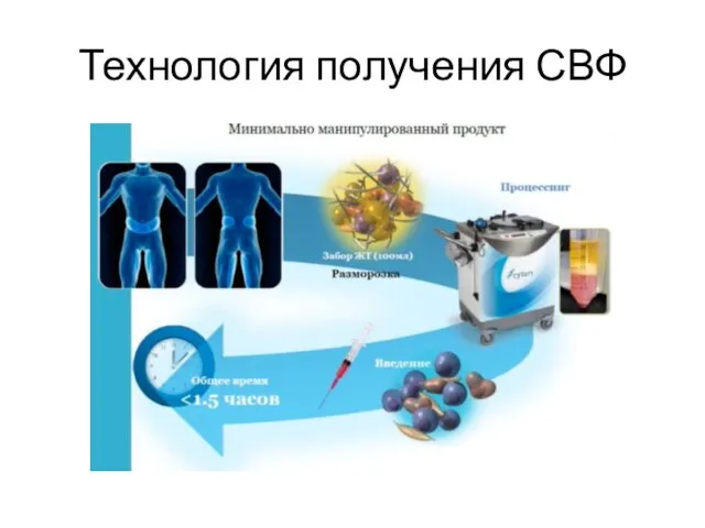 Технология получения СВФ