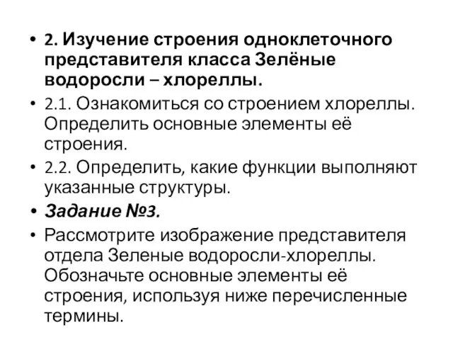 2. Изучение строения одноклеточного представителя класса Зелёные водоросли – хлореллы. 2.1. Ознакомиться