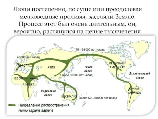 Люди постепенно, по суше или преодолевая мелководные проливы, заселяли Землю. Процесс этот