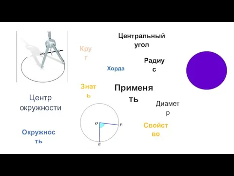 Окружность Круг Радиус Хорда Диаметр Центр окружности Центральный угол Свойство Знать Применять