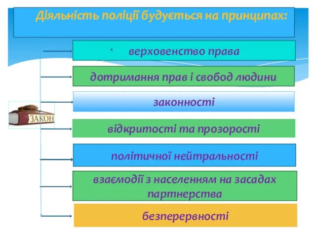 верховенство права дотримання прав і свобод людини законності відкритості та прозорості Діяльність