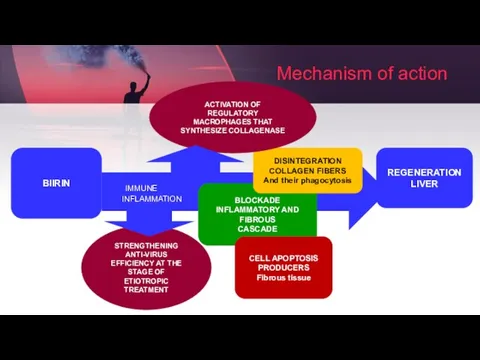 Mechanism of action IMMUNE INFLAMMATION BIIRIN BLOCKADE INFLAMMATORY AND FIBROUS CASCADE CELL