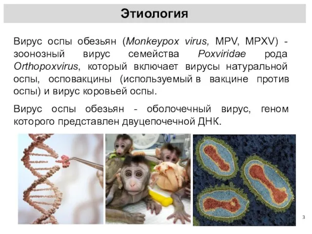 Вирус оспы обезьян (Monkeypox virus, MPV, MPXV) - зоонозный вирус семейства Poxviridae