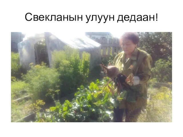 Свекланын улуун дедаан!