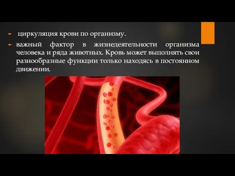 циркуляция крови по организму. важный фактор в жизнедеятельности организма человека и ряда