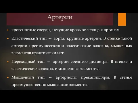 Артерии кровеносные сосуды, несущие кровь от сердца к органам Эластический тип —