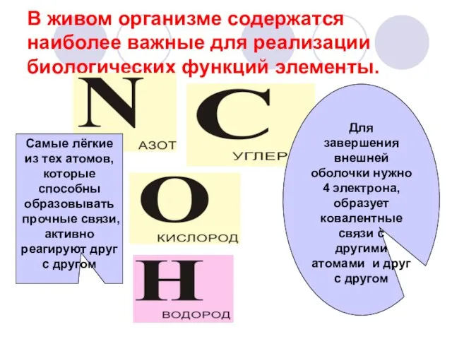 В живом организме содержатся наиболее важные для реализации биологических функций элементы. Для