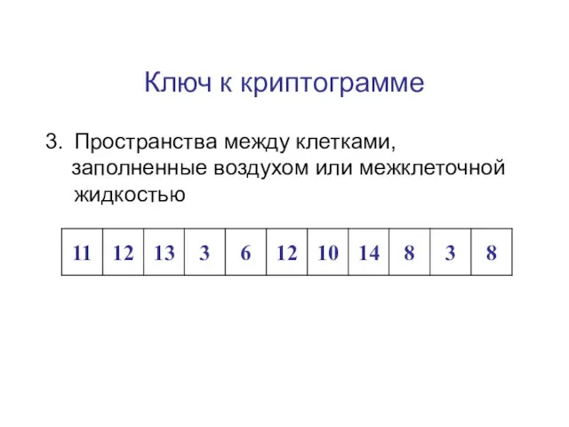 Ключ к криптограмме Пространства между клетками, заполненные воздухом или межклеточной жидкостью