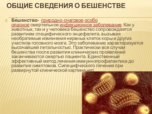 ОБЩИЕ СВЕДЕНИЯ О БЕШЕНСТВЕ Бе́шенство- природно-очаговое особо опасное смертельное инфекционное заболевание. Как