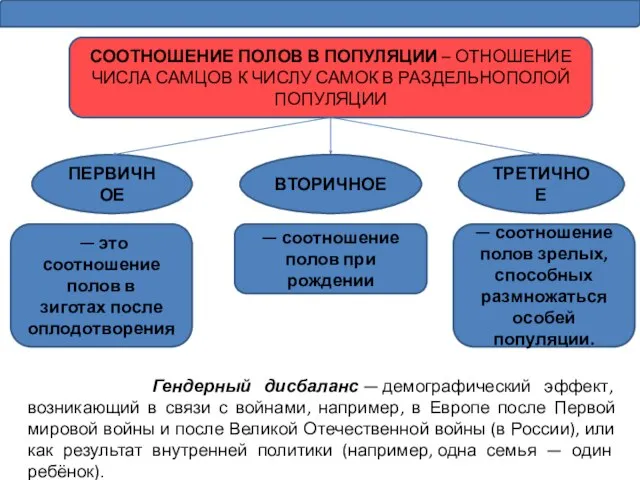 СООТНОШЕНИЕ ПОЛОВ В ПОПУЛЯЦИИ – ОТНОШЕНИЕ ЧИСЛА САМЦОВ К ЧИСЛУ САМОК В