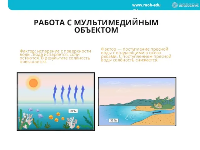 РАБОТА С МУЛЬТИМЕДИЙНЫМ ОБЪЕКТОМ Фактор: испарение с поверхности воды. Вода испаряется, соли