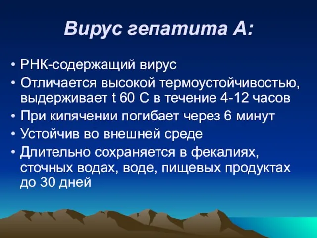 Вирус гепатита А: РНК-содержащий вирус Отличается высокой термоустойчивостью, выдерживает t 60 С