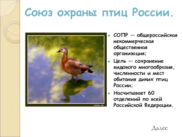 Союз охраны птиц России. СОПР — общероссийская некоммерческая общественная организация; Цель —