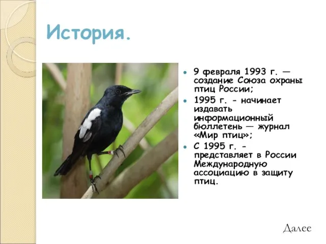 История. 9 февраля 1993 г. — создание Союза охраны птиц России; 1995