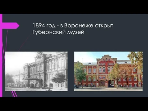 1894 год - в Воронеже открыт Губернский музей