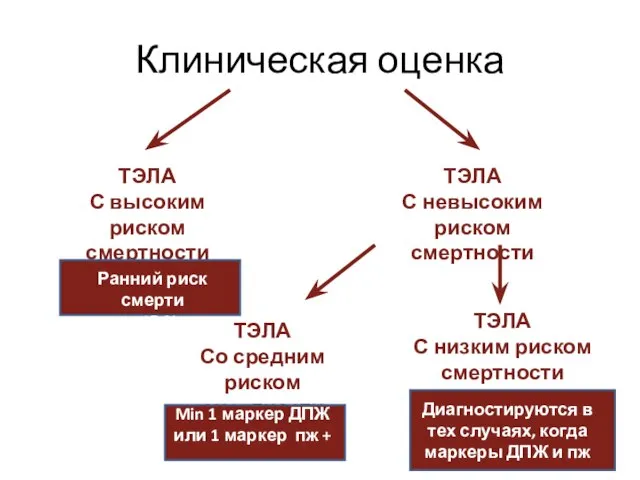 Клиническая оценка ТЭЛА С высоким риском смертности ТЭЛА С невысоким риском смертности