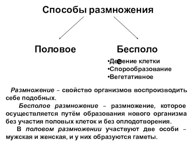 Способы размножения Половое Бесполое Деление клетки Спорообразование Вегетативное Размножение – свойство организмов