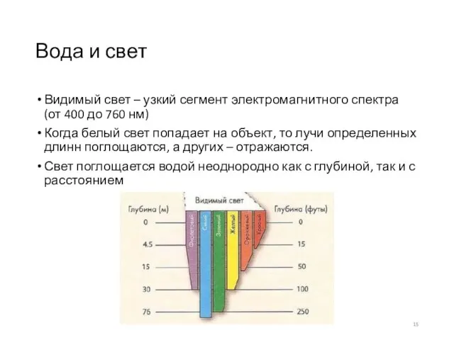 Вода и свет Видимый свет – узкий сегмент электромагнитного спектра (от 400