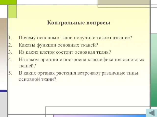 Контрольные вопросы Почему основные ткани получили такое название? Каковы функции основных тканей?