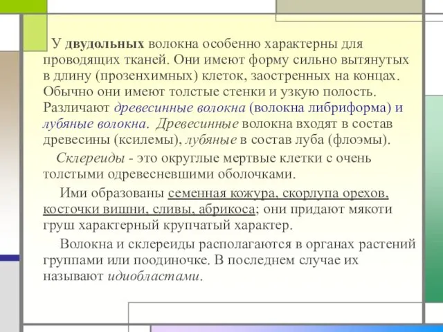 У двудольных волокна особенно характерны для проводящих тканей. Они имеют форму сильно