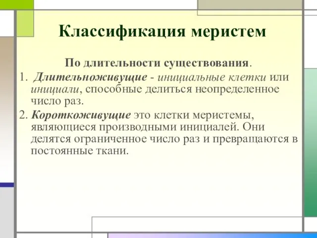 Классификация меристем По длительности существования. 1. Длительноживущие - инициальные клетки или инициали,