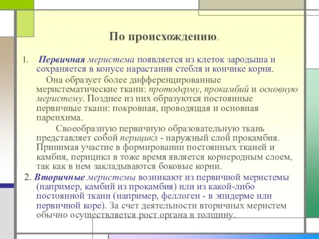 По происхождению. Первичная меристема появляется из клеток зародыша и сохраняется в конусе