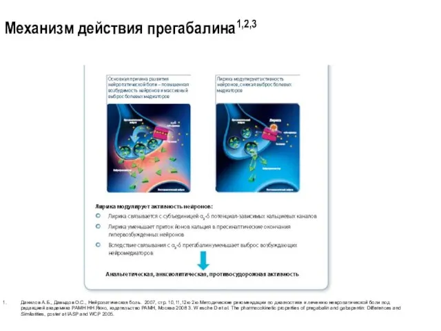 Механизм действия прегабалина1,2,3 Данилов А.Б., Давыдов О.С., Нейропатическая боль. 2007, стр. 10,11,12ю