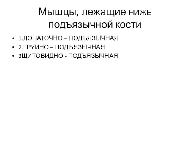 Мышцы, лежащие НИЖЕ подъязычной кости 1.ЛОПАТОЧНО – ПОДЪЯЗЫЧНАЯ 2.ГРУИНО – ПОДЪЯЗЫЧНАЯ 3ЩИТОВИДНО - ПОДЪЯЗЫЧНАЯ