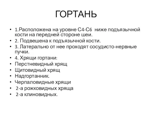 ГОРТАНЬ 1.Расположена на уровне С4-С6 ниже подъязычной кости на передней стороне шеи.