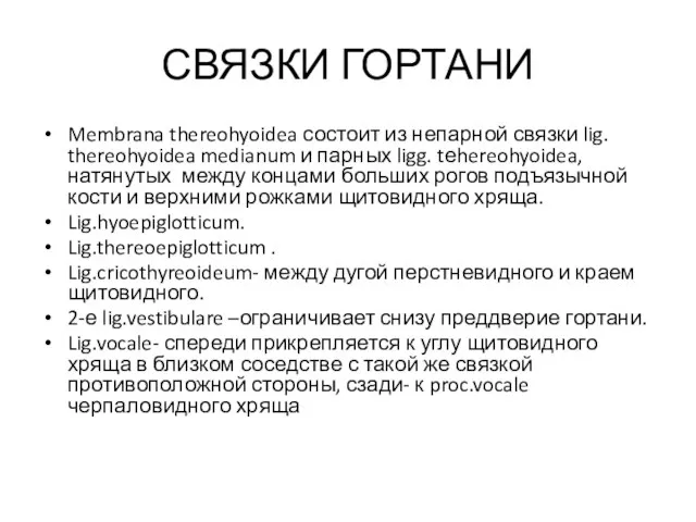 СВЯЗКИ ГОРТАНИ Membrana thereohyoidea состоит из непарной связки lig. thereohyoidea medianum и