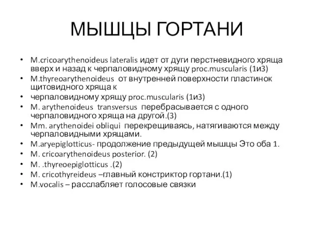 МЫШЦЫ ГОРТАНИ M.cricoarythenoideus lateralis идет от дуги перстневидного хряща вверх и назад