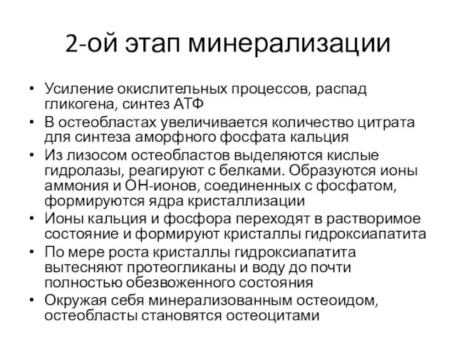 2-ой этап минерализации Усиление окислительных процессов, распад гликогена, синтез АТФ В остеобластах