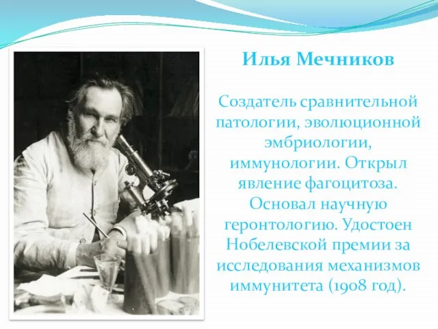 Илья Мечников Создатель сравнительной патологии, эволюционной эмбриологии, иммунологии. Открыл явление фагоцитоза. Основал