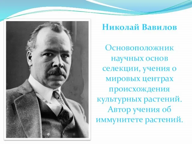 Николай Вавилов Основоположник научных основ селекции, учения о мировых центрах происхождения культурных